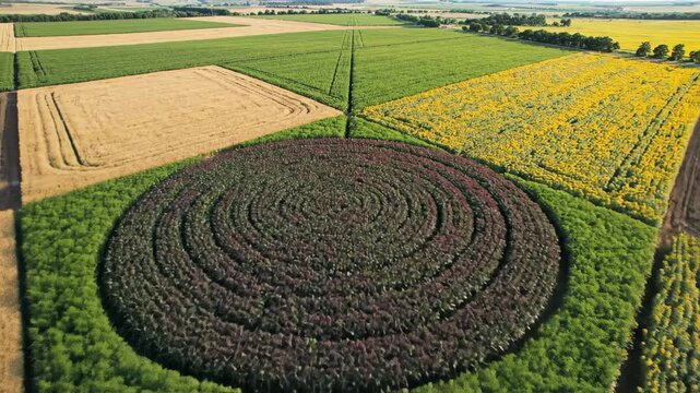 Aerial view of agricultural fields and spiral crop circle