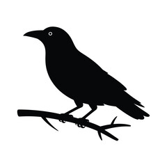 Obraz premium Black silhouette of a raven perched on a bare branch