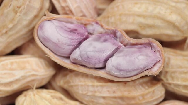 Top view of boiled peanut kernels inside an open shell on a whole peanuts in shell. Rotation video