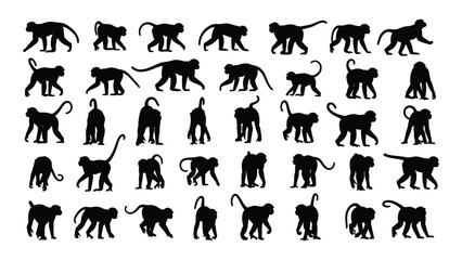 A collection of black cat silhouettes on a white background © JubaerAhmed