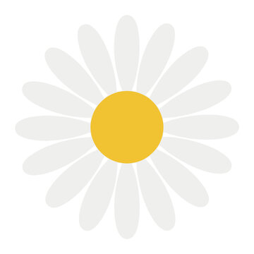 Bright and cheerful flat vector illustration of a single daisy flower, featuring crisp white petals and a warm yellow center, ideal for representing nature, growth, and springtime beauty