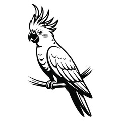 cockatoo © MDABDUL