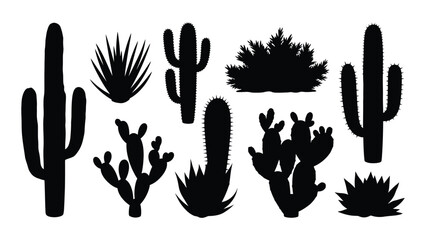 Collection of various cactus and succulent silhouettes on a white background © JubaerAhmed