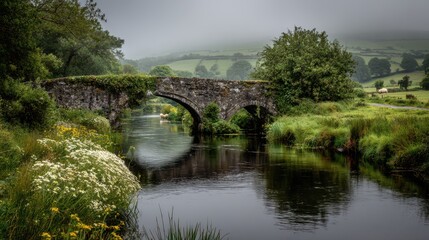 Foley's Bridge, Ireland: timeless stone arch over a tranquil river in emerald countryside