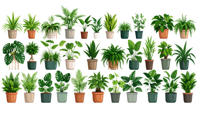 Indoor potted plants collection, modern decorative pots, tropical foliage greenery, botanical leaves design, home decor element, cad drawing flat vector illustration