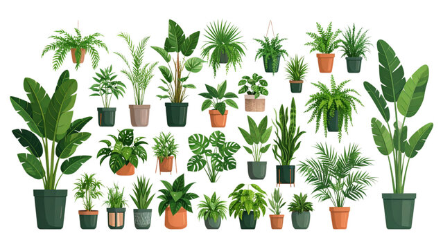 Indoor potted plants collection, modern decorative pots, tropical foliage greenery, botanical leaves design, home decor element, cad drawing flat vector illustration