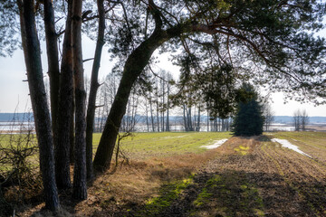 Przedwiośnie w Dolinie Górnej Narwi, Podlasie, Polska © podlaski49