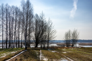 Przedwiośnie w Dolinie Górnej Narwi, Podlasie, Polska © podlaski49