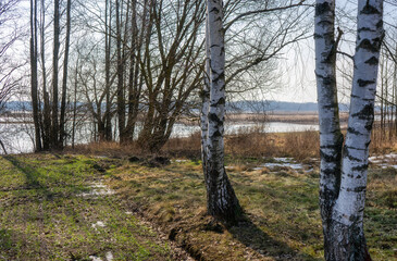 Przedwiośnie w Dolinie Górnej Narwi, Podlasie, Polska © podlaski49