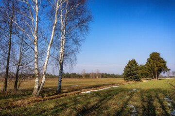 Przedwiośnie w Dolinie Górnej Narwi, Podlasie, Polska © podlaski49