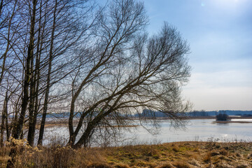 Przedwiośnie w Dolinie Górnej Narwi, Podlasie, Polska © podlaski49