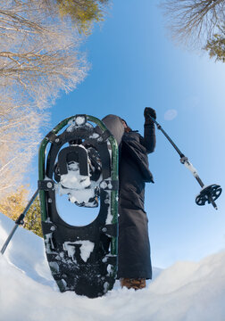 Person snowshoeing on sunny winter day shot from below.