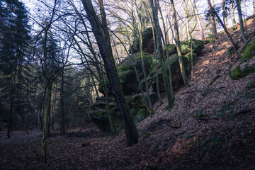 Obraz premium old stone formation in forest