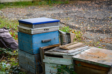 Old Beehives in a Traditional Apiary