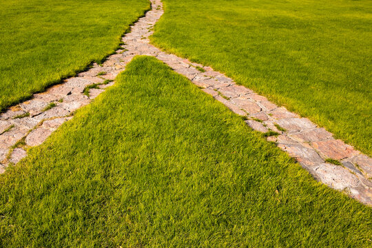 Splitting pathway through a field of grass, choice of direction.
