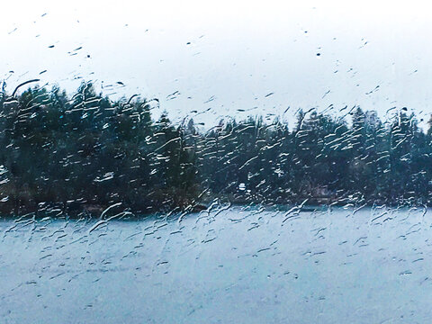 Rain droplets on the outside of a window, and view to woodland.