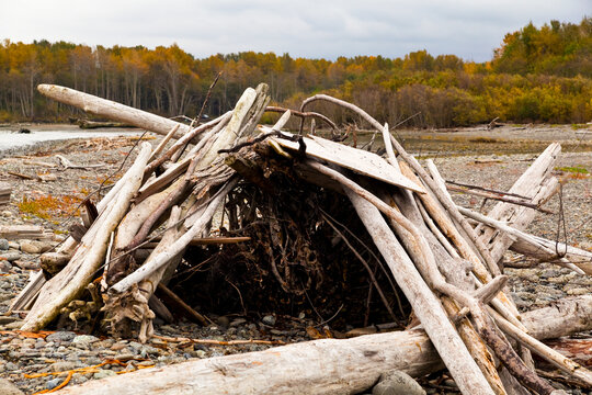 Driftwood shack on the beach, the Olympic Peninsula.