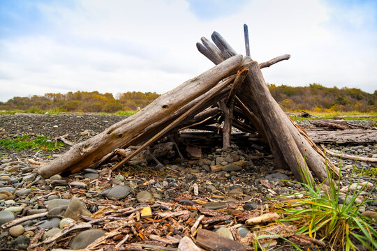 Driftwood shack on the beach, on the Olympic Peninsula.
