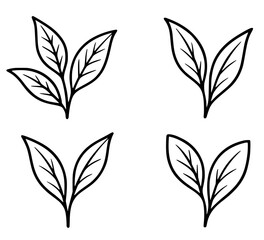 Fototapeta premium 4 tea leaf illustration icons, in outline design