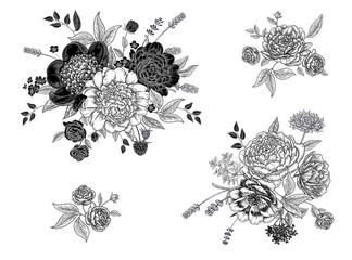 Set of blooming peonies bouquet . Black and white decoration. Vintage © marinavorona