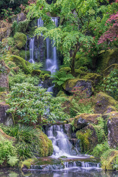 Portland Japanese Garden Waterfall, a cascade of water down a cliff, shrubs and plants.