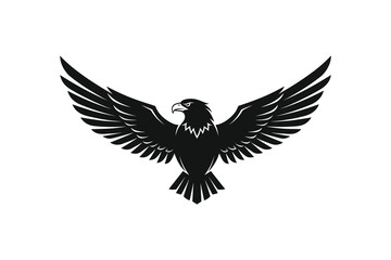 Fototapeta premium Adobe Illustrator Artwork