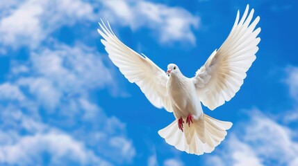 Obraz premium Elegant White Dove in Flight Against a Stunning Blue Sky with Soft Clouds Above