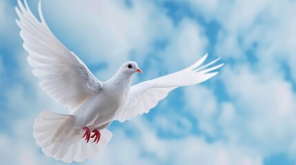 Fototapeta premium Majestic White Dove in Flight Against a Bright Blue Sky with Soft Fluffy Clouds