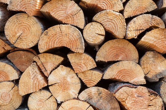 A neatly stacked pile of cut firewood showcases the natural texture and pattern of tree rings. The close-up view highlights the rich tones of the wood