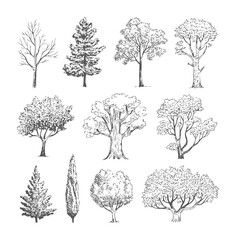 Fototapeta premium Black and white line of various trees in different shapes and sizes nature botanical