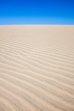 Natural wind-swept patterns on a sunlit sand dune beneath a vivid blue desert sky. Clean, simple, and expansive.