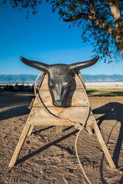 Roping dummy set up on dirt ranch ground, with coiled rope and mountain landscape in the background. A training tool for rodeo and cowboy skills.