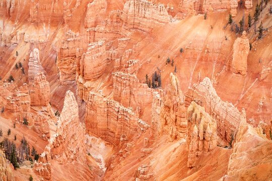 Vibrant red rock formations at Point Supreme, Cedar Breaks National Monument, view from above, erosion and weathering, creating a jagged landscape with deep clefts and layered sandstone cliffs.