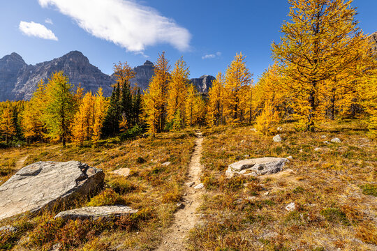 Larch valley trail near Moraine Lake.