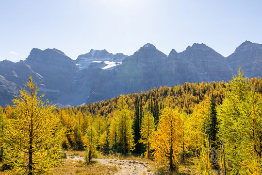 Larch valley trail near Moraine Lake.