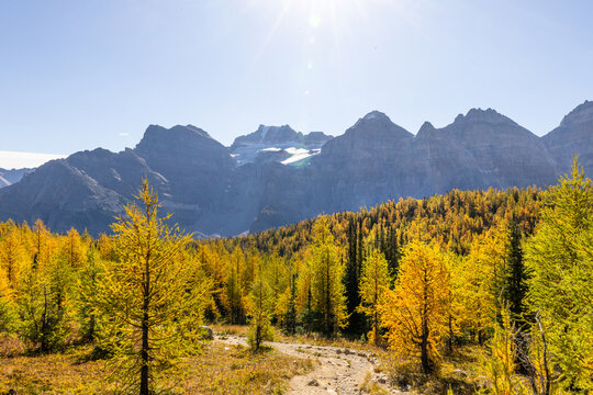 Larch valley trail near Moraine Lake.