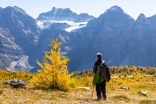 Larch valley trail near Moraine Lake.