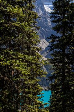 Larch valley trail near Moraine Lake.