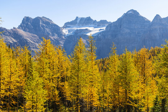 Larch valley trail near Moraine Lake.