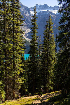 Larch valley trail near Moraine Lake.