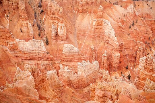 Vibrant red rock formations at Point Supreme, Cedar Breaks National Monument, showcase Utah's dramatic geology and layered sandstone cliffs.