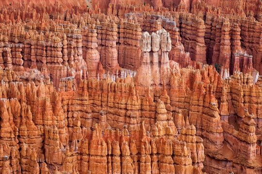 Eroded hoodoos in Bryce Canyon rise like ancient spires from the canyon floor, showcasing layers of vivid red and orange sandstone in southern Utah's iconic landscape.