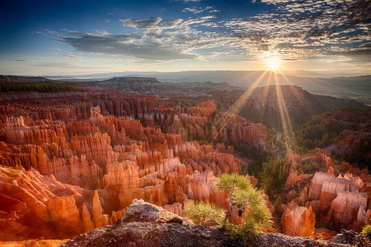 Golden sunbeams pierce the horizon at Bryce Canyon, casting dramatic light over the maze of hoodoos and the surrounding forested cliffs.