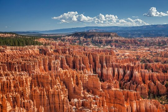 An intricate maze of towering hoodoos glows in vivid red and orange under a bright blue sky at Bryce Canyon National Park, showcasing the parks dramatic and unique geological formations.