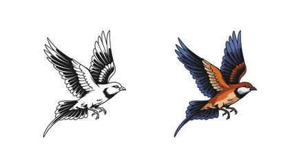 Sparrow in Flight, Black and White and Color Illustration © Aziz
