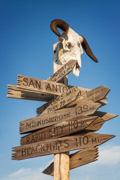 Weathered wooden direction sign topped with a cow skull and horns lists distances to regional landmarks under a clear blue sky in rural South Dakota.