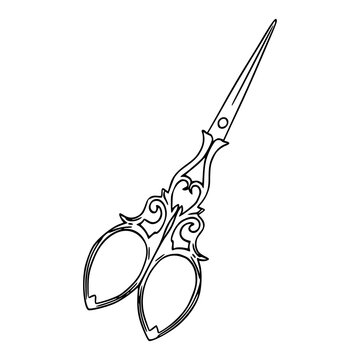 detailed vintage decorative scissors line art illustration