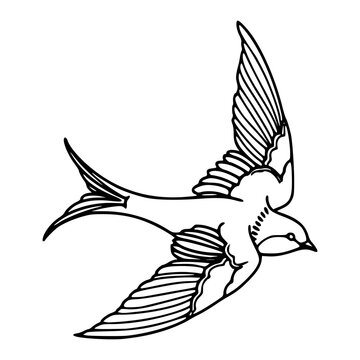 flying swallow bird illustration in vintage tattoo style