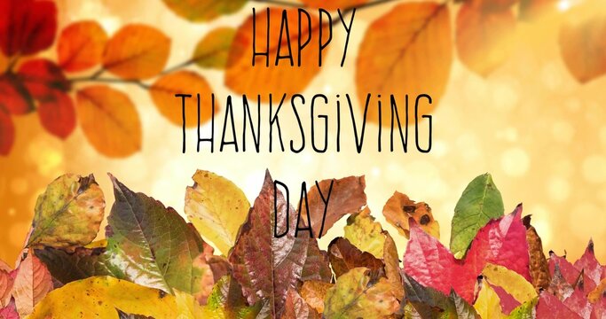 Showing center fall leaf pile forming band with warm bokeh soft branch HAPPY THANKSGIVING DAY text