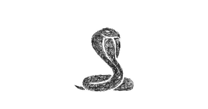 Sketch cobra icon animation - smooth progressive reveal
